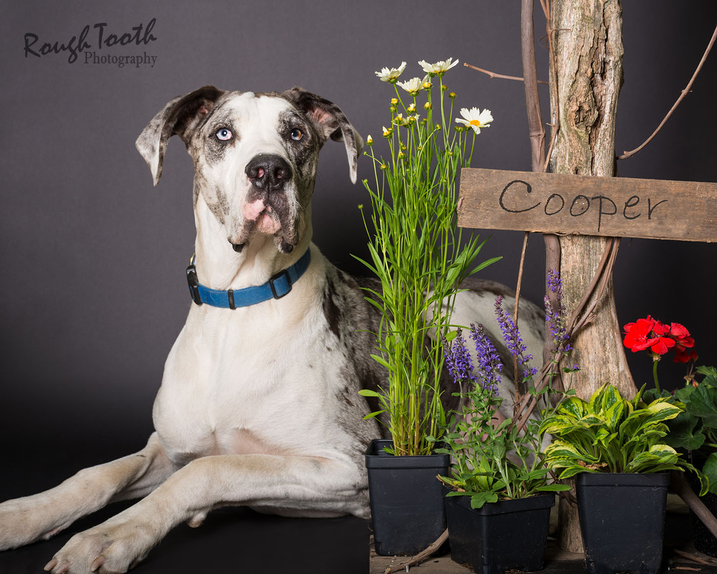 DSC_0996-Edit w-name